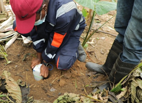 Menxons field technician planting a seismic acquisition node on site in Ghana